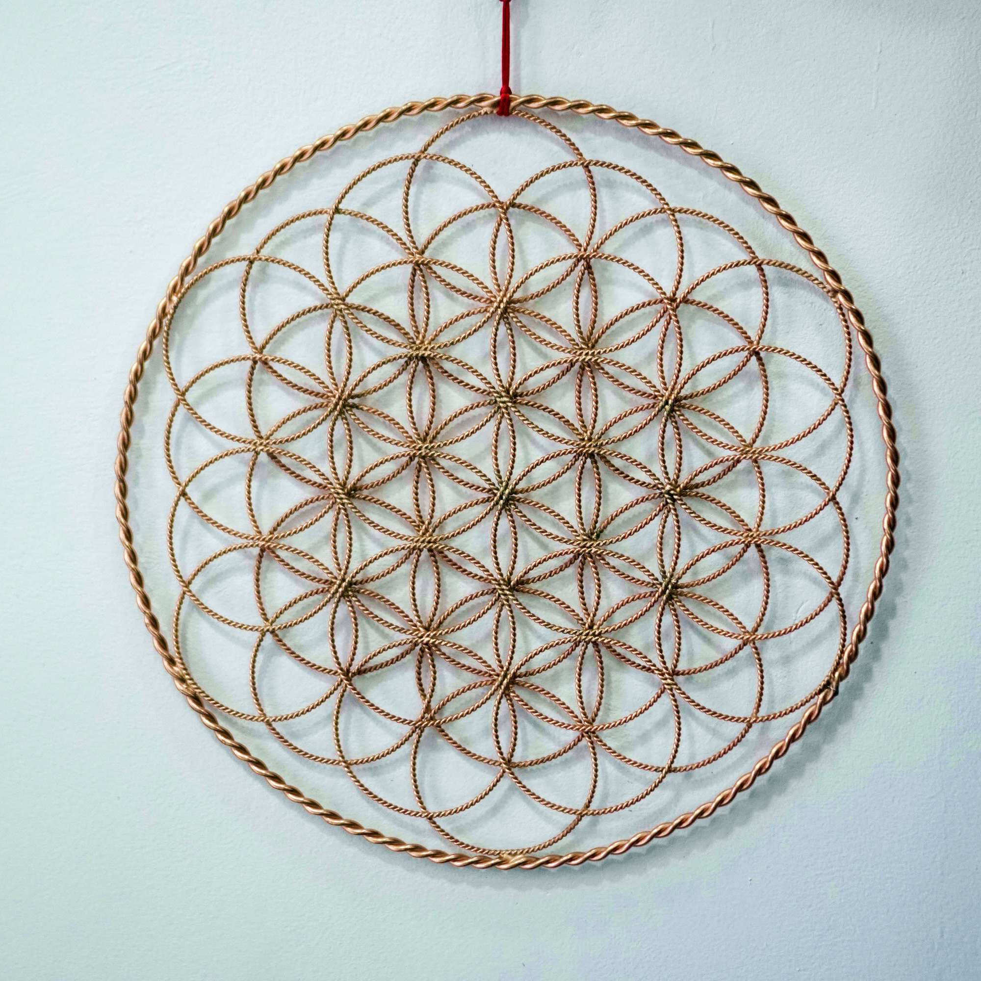 /storage/photos/1/!! Produk Orgonite Djawa/! Tensor Ring/Flower Of Life/1.jpg